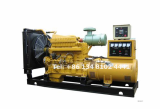 SHANGCHAI_Diesel_Generator_Set 100GF